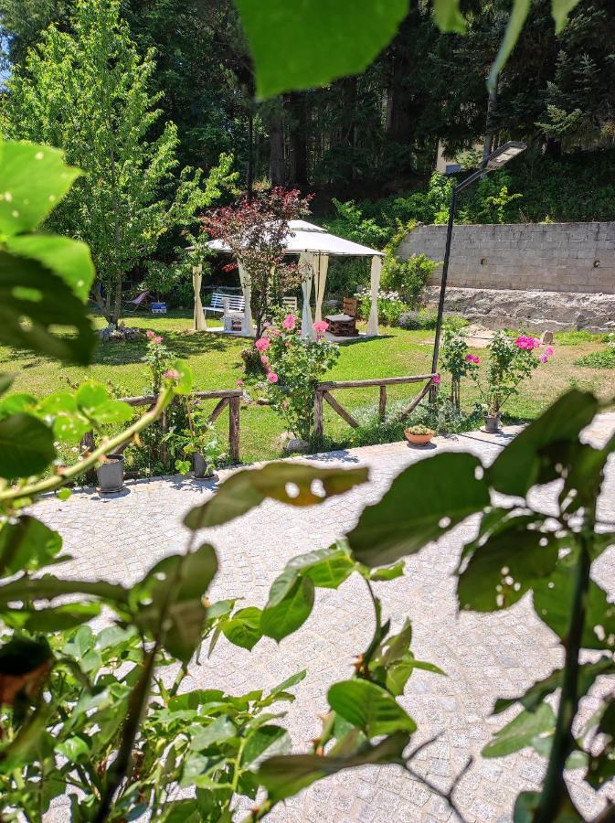 Guest House Caracas Lorica Extérieur photo