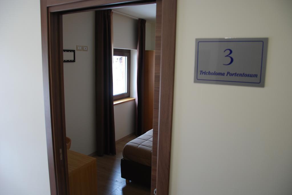 Guest House Caracas Lorica Extérieur photo